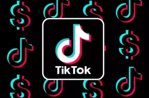 TikTok，不少闷声的小卖家，日子太过好！